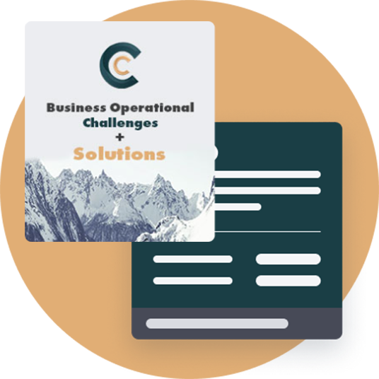 Cinole-Consulting-Offer-v1-3
